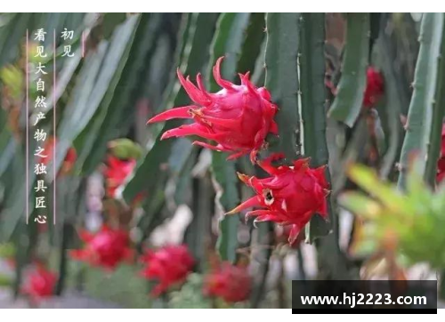 DB旗舰蝶恋花，蜂采蜜：繁花似锦的多情季节之美